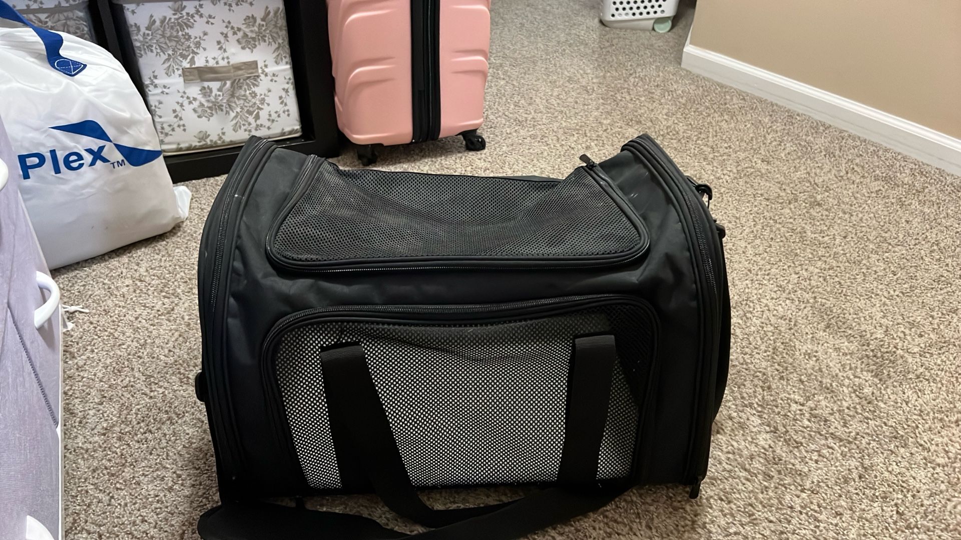 Small Dog Mesh Carrier