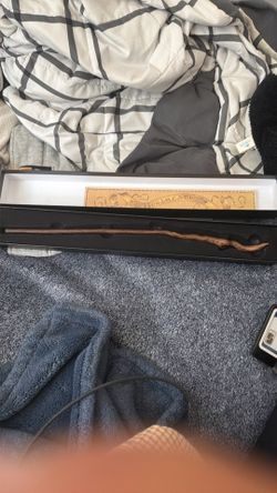Harry Potter wand, magical beast