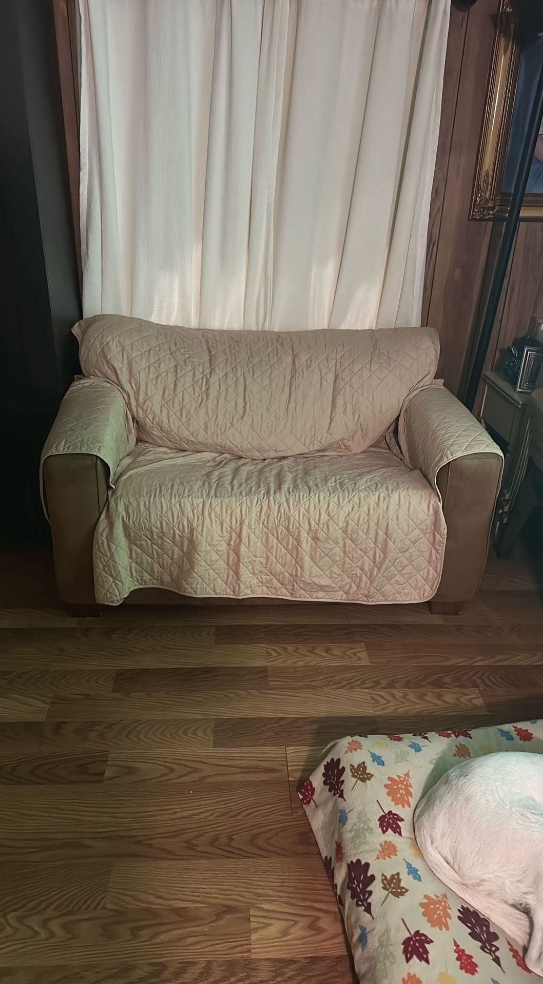FREE SOFA BED COUCH