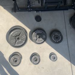 Barbell Standard 245lb Weight Set