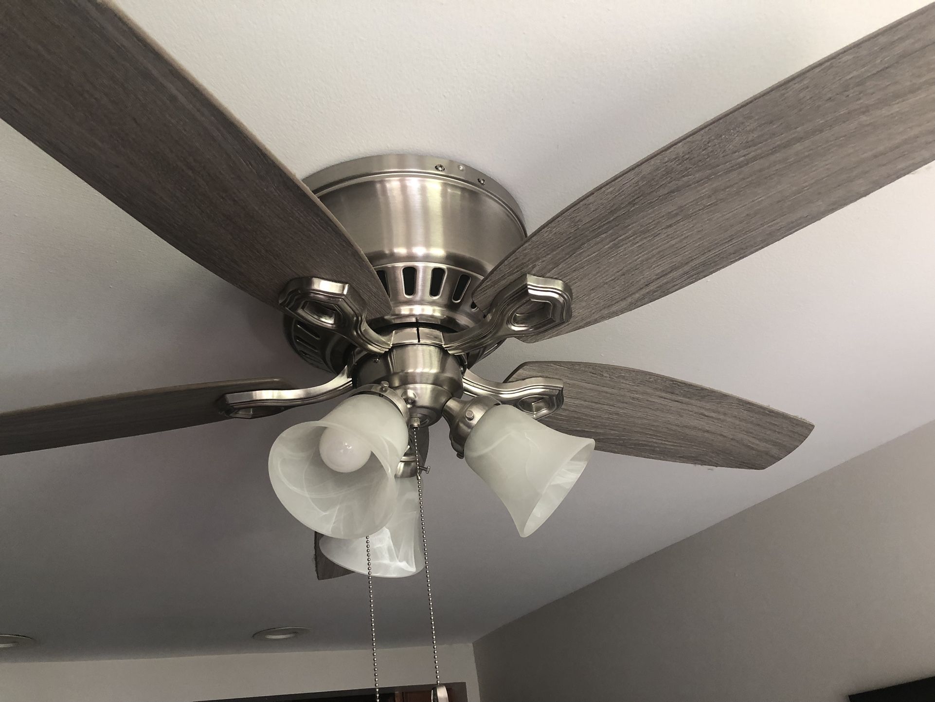 Ceiling Fan