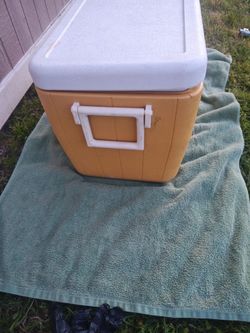 Ice chest