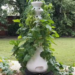 Lettuce Grow Farmstand 5 Tier Hydroponic Grower