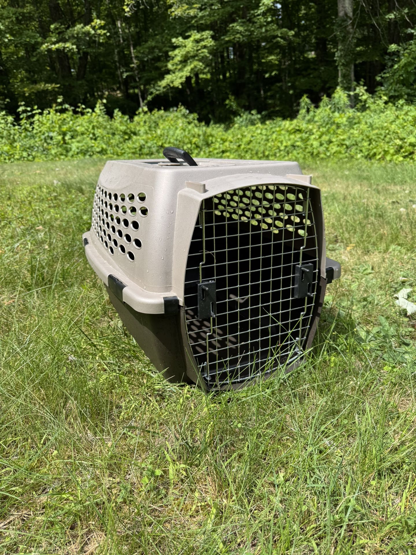 Pet Carrier