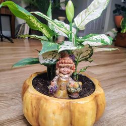 Chinese Evergreen And A Dumb Cane In One Decorative Pumpkin Planter 