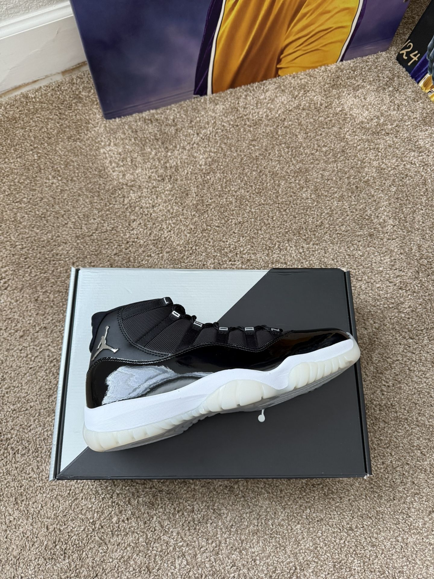 Jordan 11 Jubilee 25th Anniversary