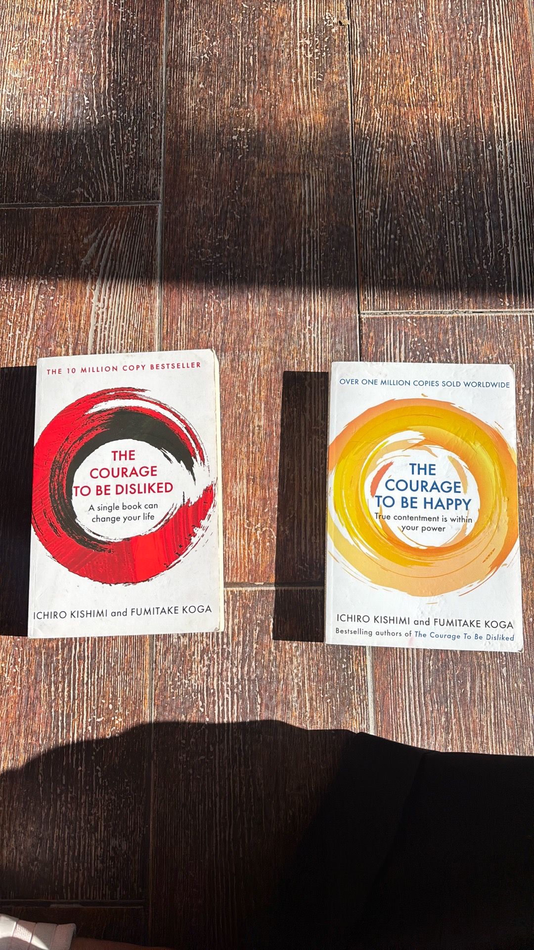 The courage to be happy / the courage to be disliked