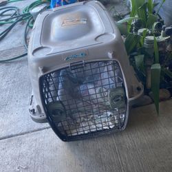 Small Dog Travel Carrier