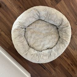 Big Dog Bed 