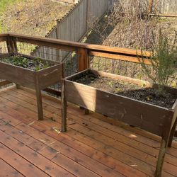 Standing Raised Beds