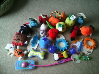 Pet toys (New)
