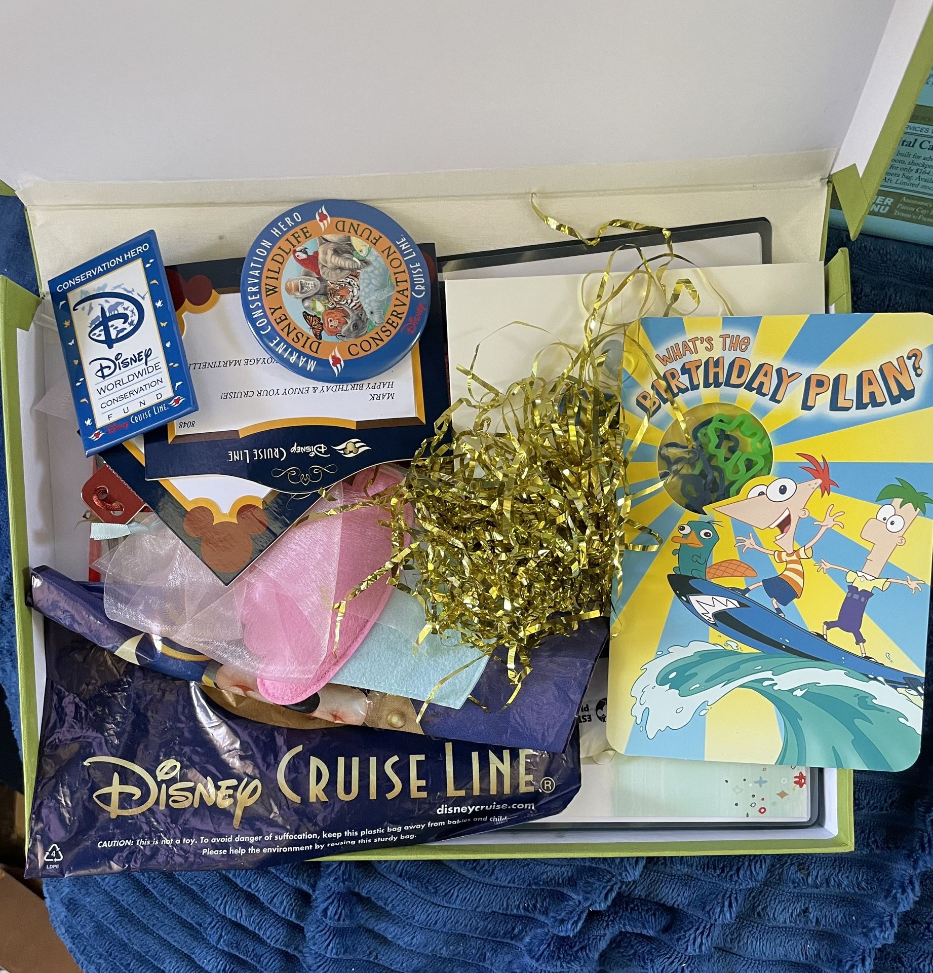 Disney Cruise Memorabilia