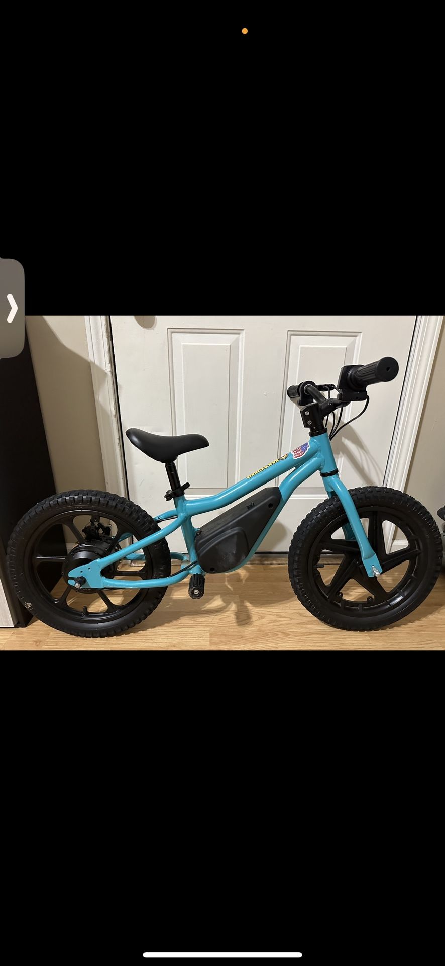 Massimo 16” Kids Electric Bike