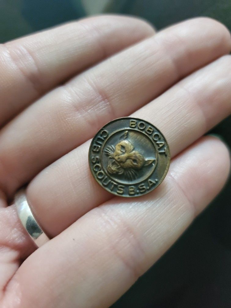 Old Cub Scout Pin
