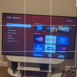 65 Inch Roku