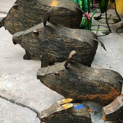 New 
Metal  "Javelina"  Statue 

Approx.
Extra Large  
2ft. X 2ft. 4"           $79.95
Large
1ft. 8" x 2ft. 1"       $59.95 
Medium 
1ft. 3" x 1ft.10"