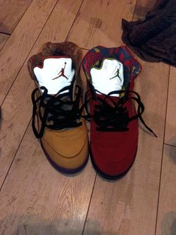 Air Jordan 5 retro SE