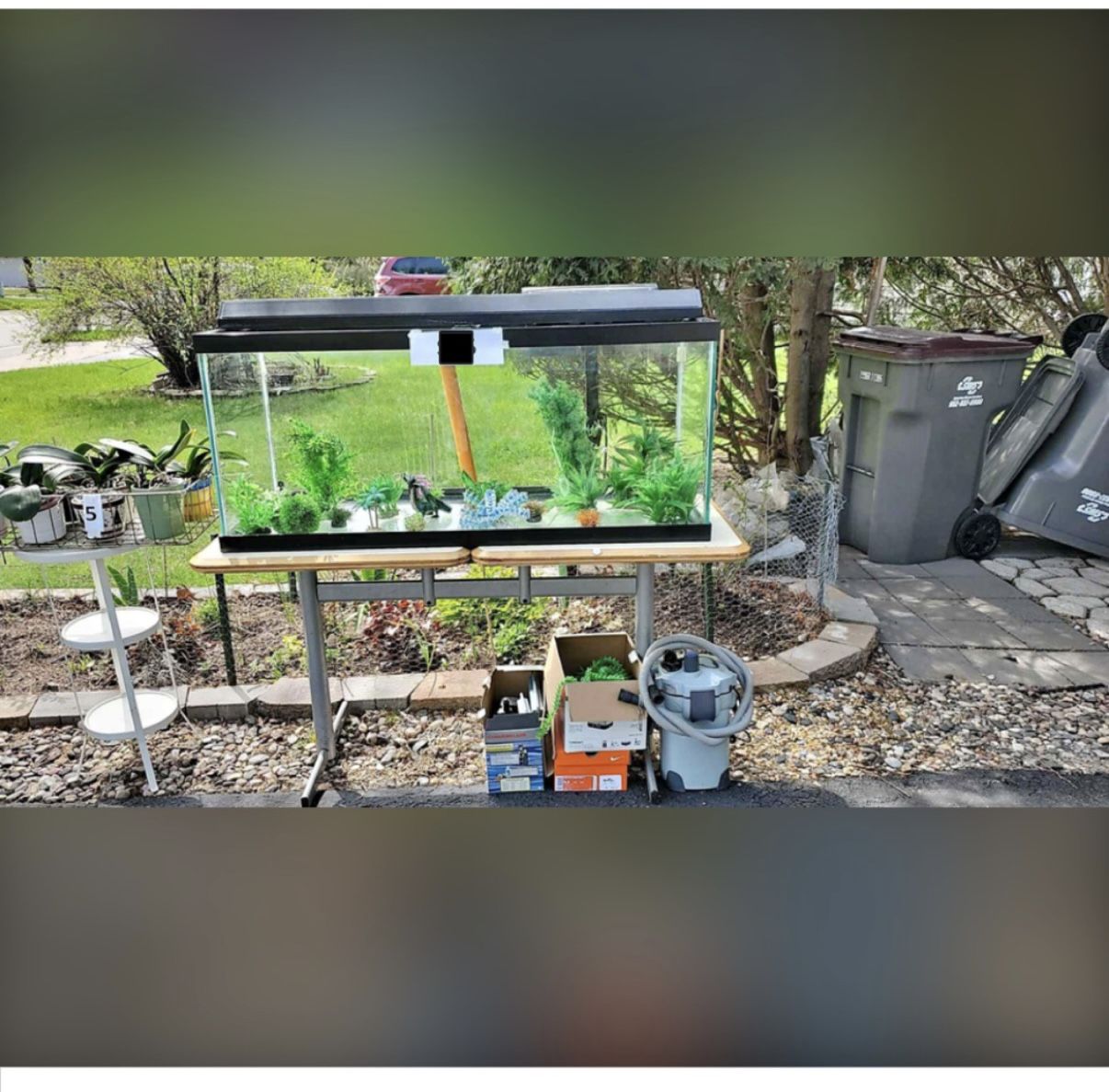 40 Gallon Fish Tank