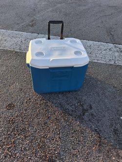 Cooler coleman