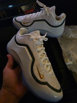 Nike Lebrons's