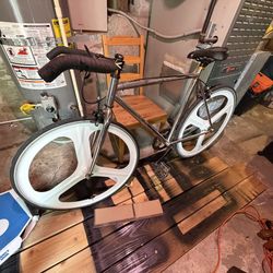 Adult Custom Fixie Bike 