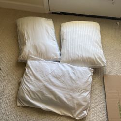 10.00 For All 3 Pillows