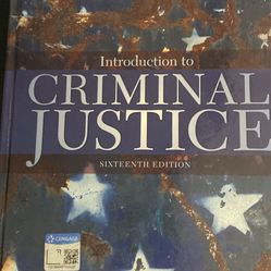 Introduction To Criminal Justice