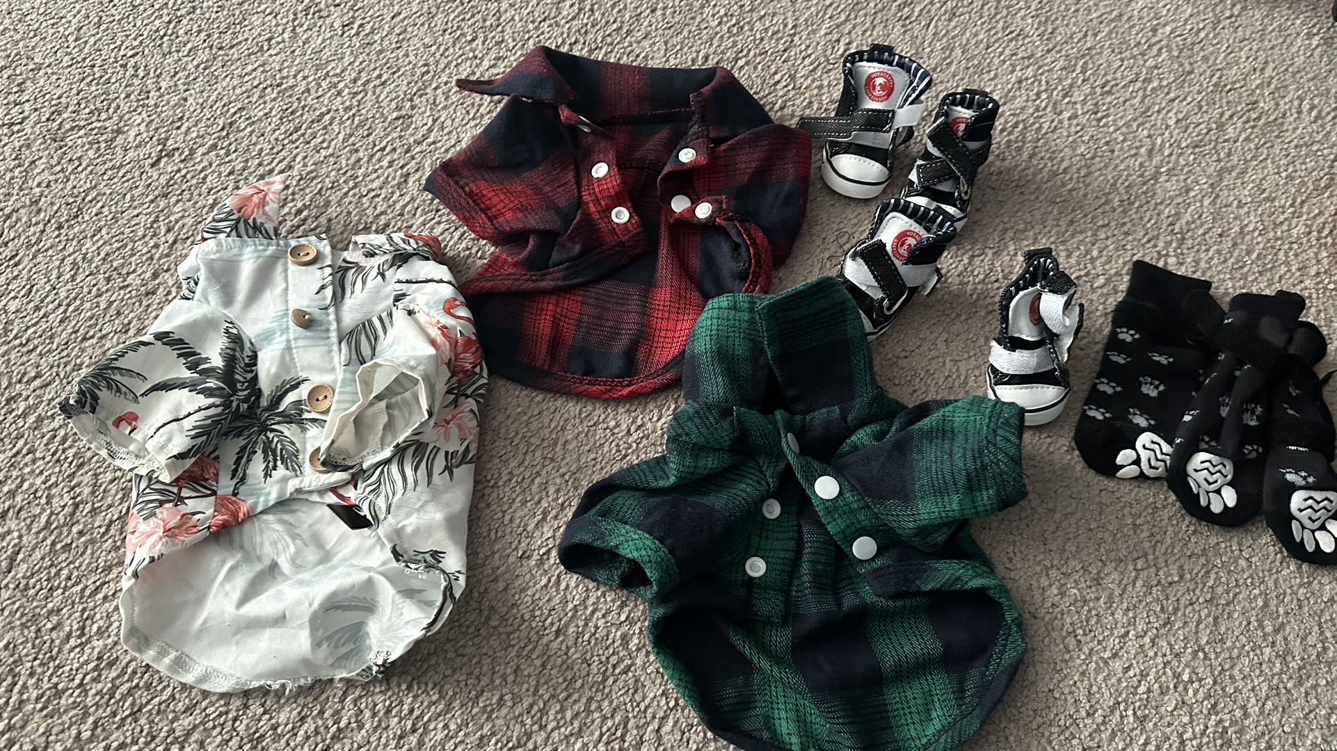 Free Small Doggie Items