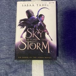 A Sky Beyond The Storm-book