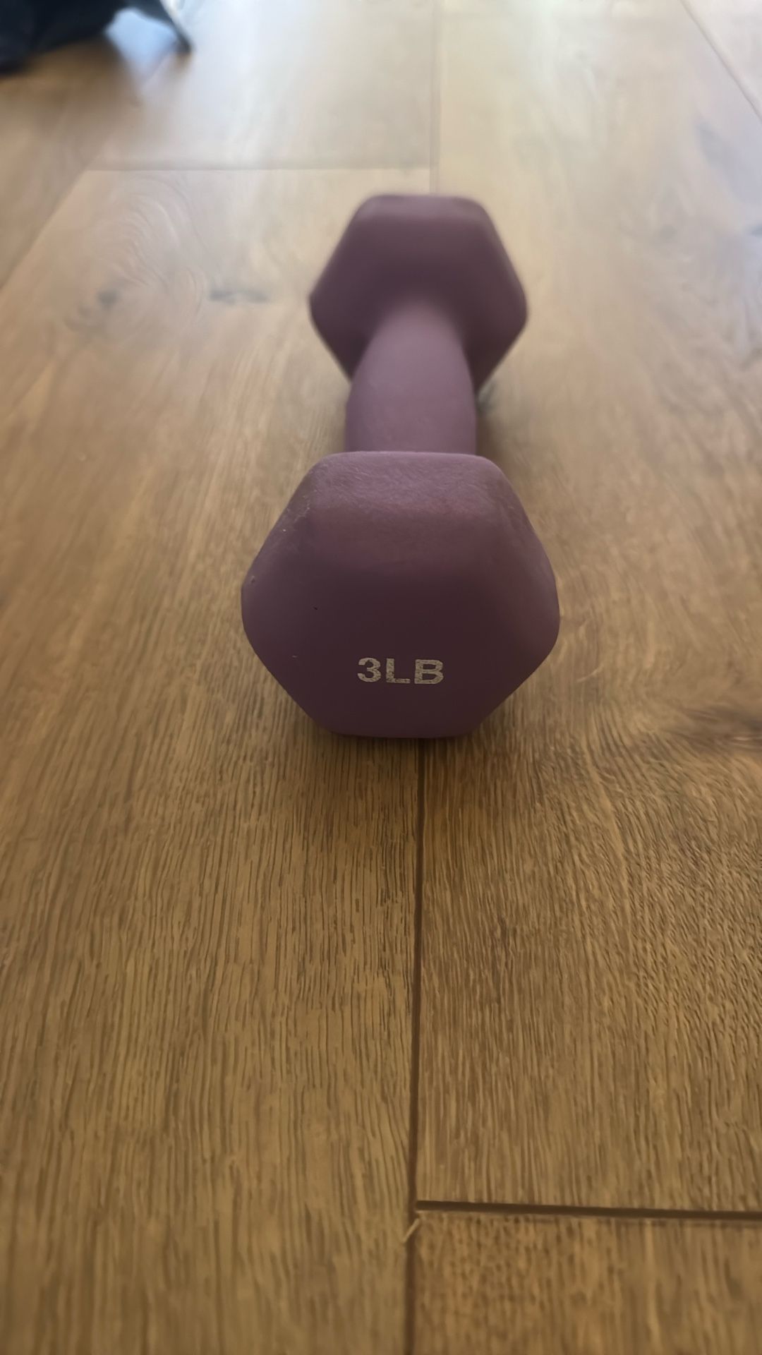 3lb Weight (single)