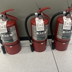 ANSUL® MODEL FE09 CLEANGUARD® 9.5 LB Certified 