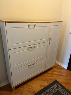 Shoe dresser