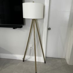 Floor Lamp 