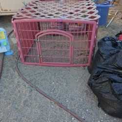 Dog Cage 