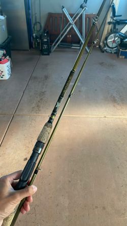 Fenwick Eagle Baitcaster