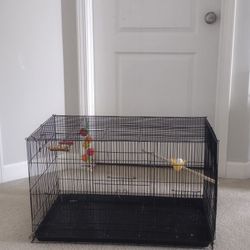 Bird Cages