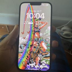 iPhone 13 Pro Max(Read Description)