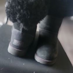 UGG Australia 1016420 Classic Cuff Suede Tall Sheepskin Boot size 6

