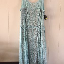 Lace Dress Taylor Brand New Size 14
