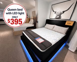 Queen Bedframe with LED lights