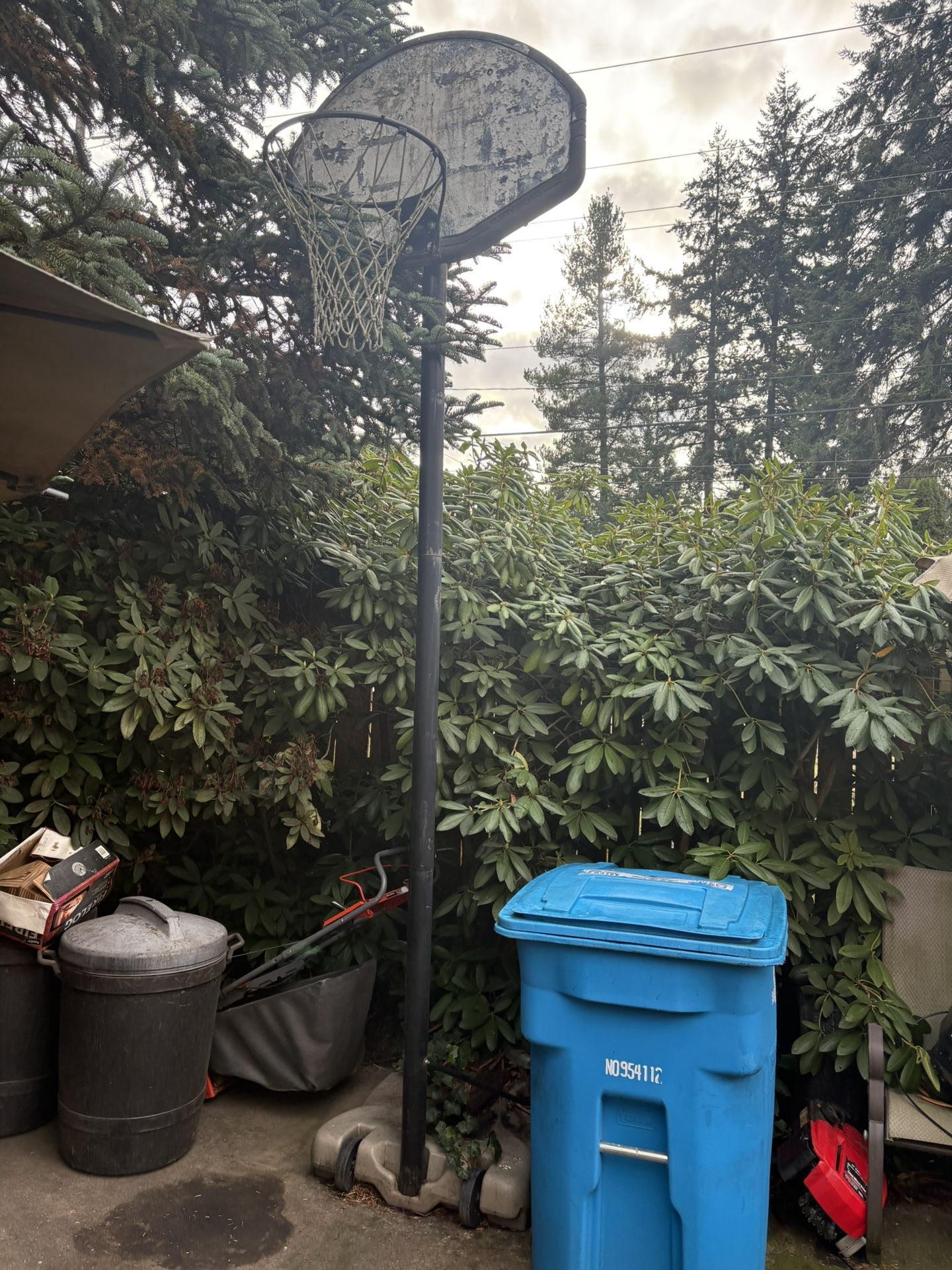 Basketball Hoop Free!