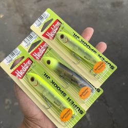 Saltwater Super Spook Jr.