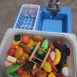 Food Toy And Sink 