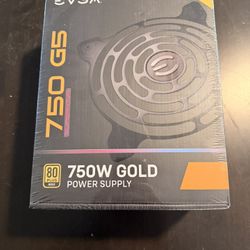 EVGA GOLD 750GS PSU - New Sealed