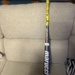 Marucci Catx - $100 - Selden