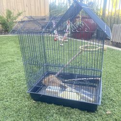 Bird Cage 