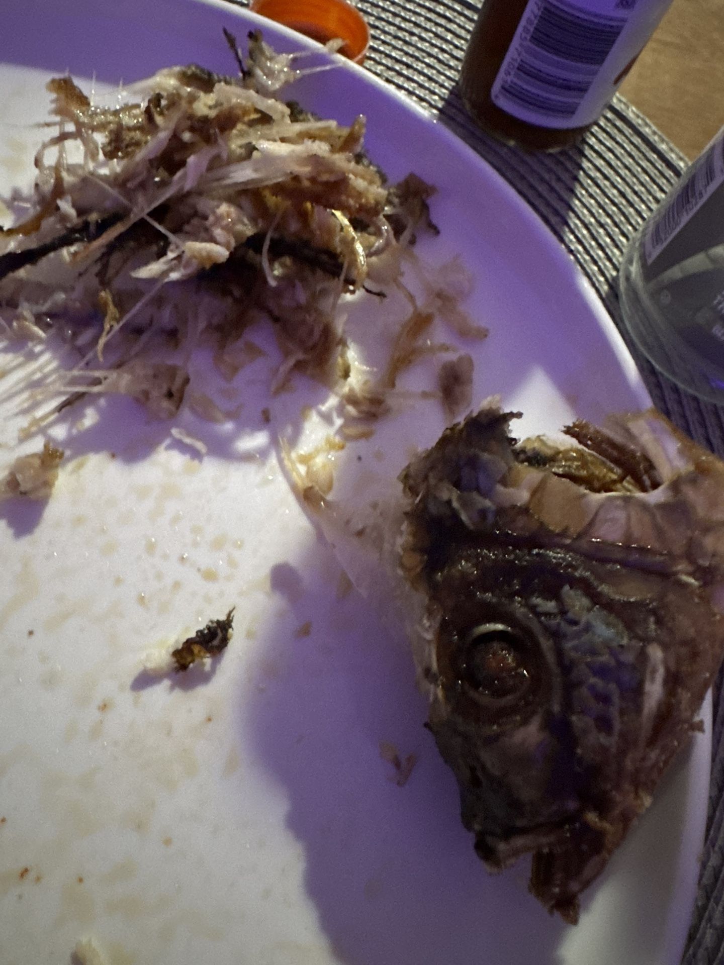 2024 Lexus LV Mojarra