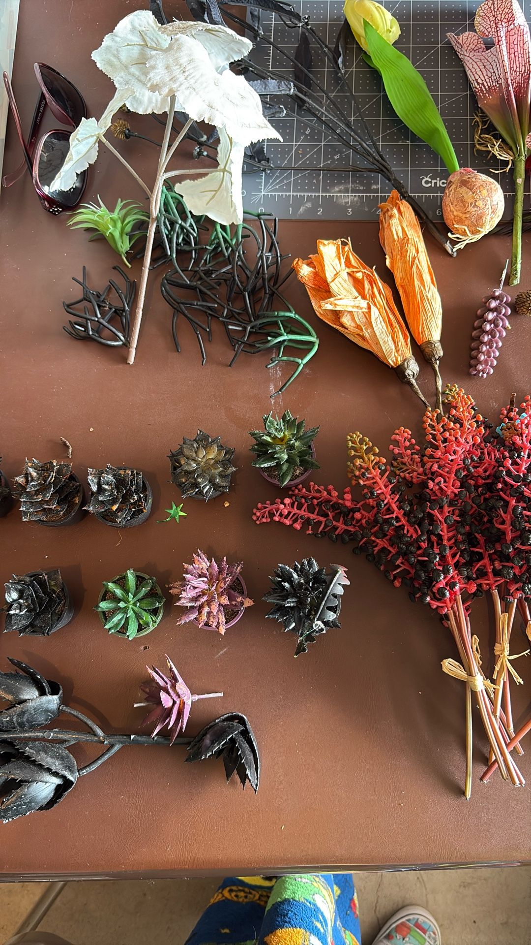 Halloween plants