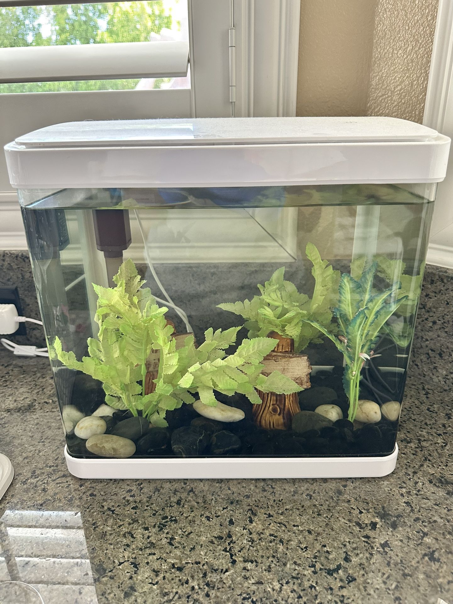 5 Gallon Fish Tank