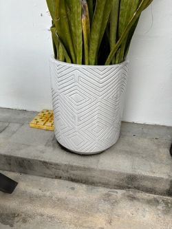 Large White Ceramic Planters